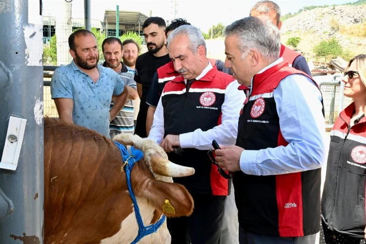 İzmir hayvan pazarları Kurban Bayramı